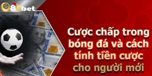 Những Cách Tính Tiền Trong Cá Độ Bóng Đá Chuẩn Xác