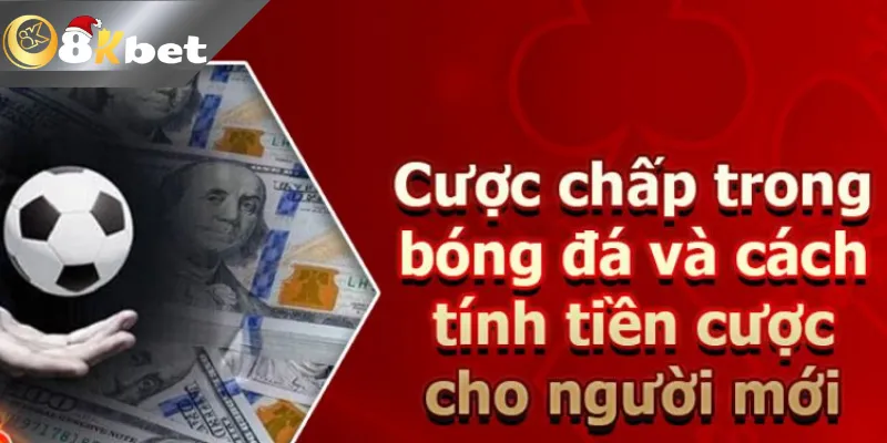 Những Cách Tính Tiền Trong Cá Độ Bóng Đá Chuẩn Xác