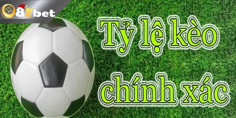 Ty Le Keo Là Gì? Hướng Dẫn Cách Đọc Kèo Chuẩn Nhất 2026 ty le keo là gì?